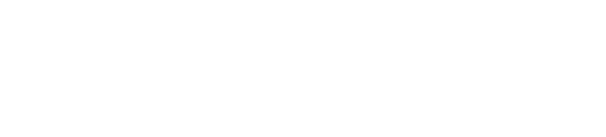 Landstar logo white